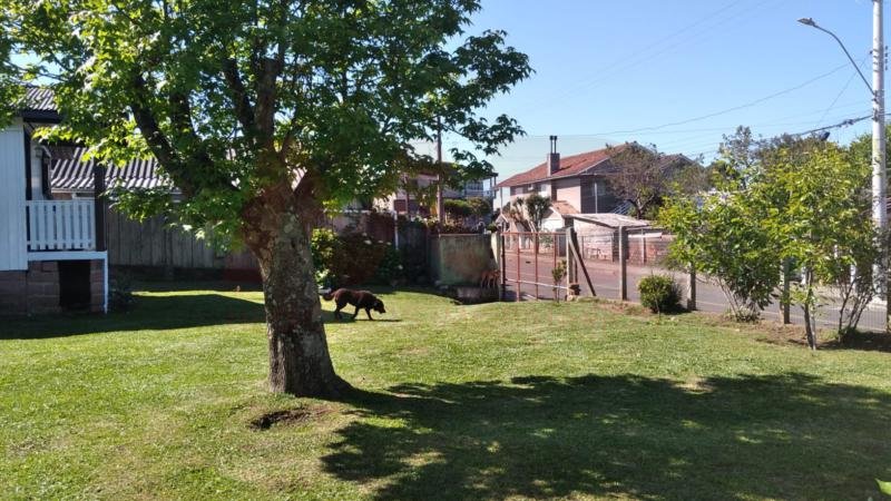 CASA 2 DORMITÓRIOS