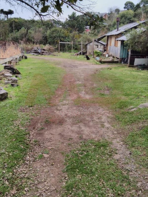 Terreno