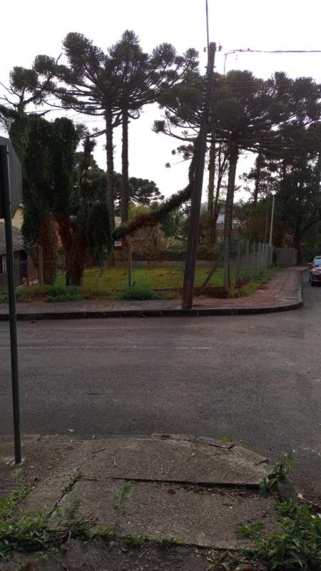Terreno
