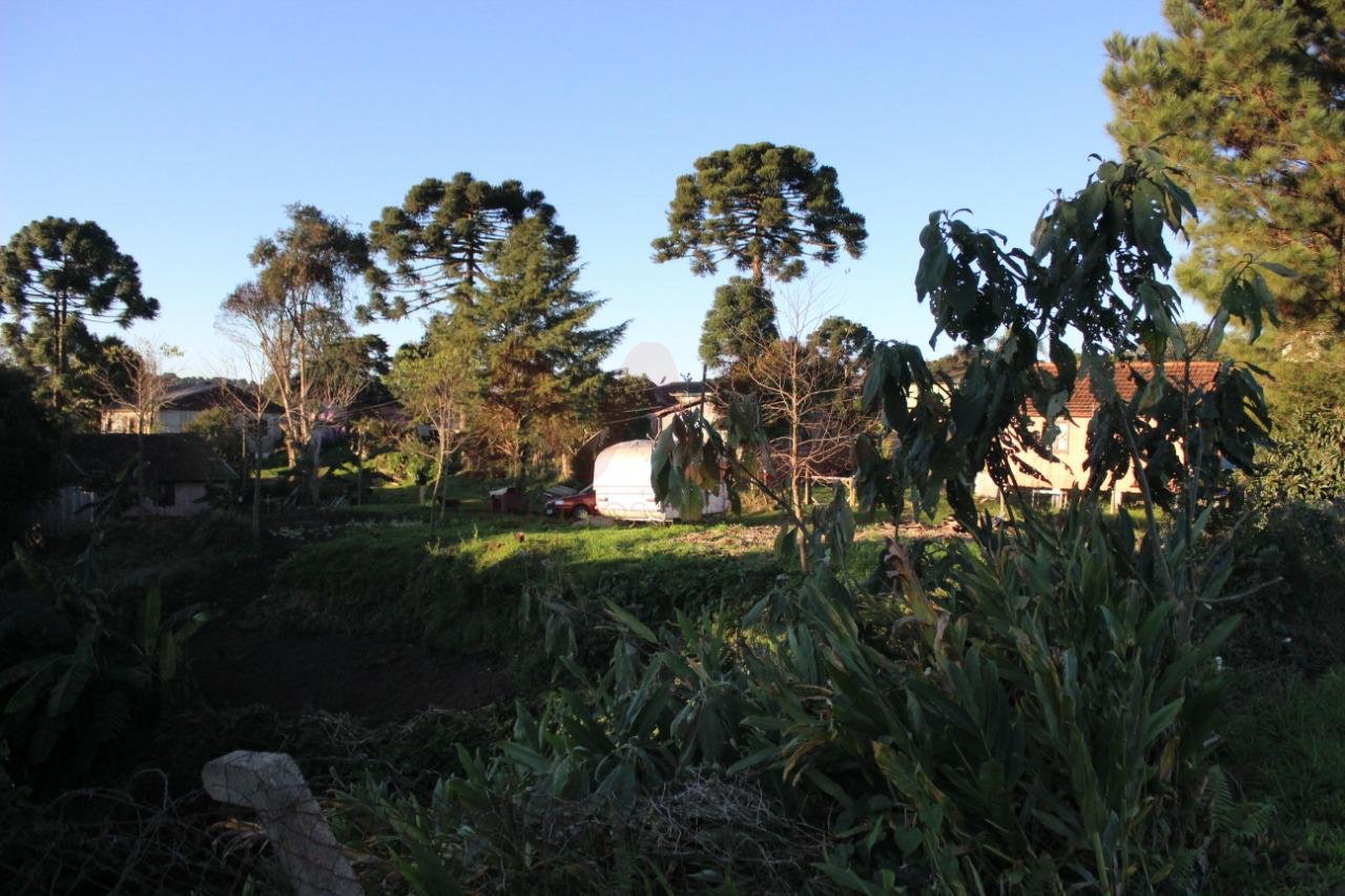 Terreno
