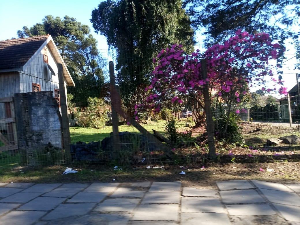 Terreno